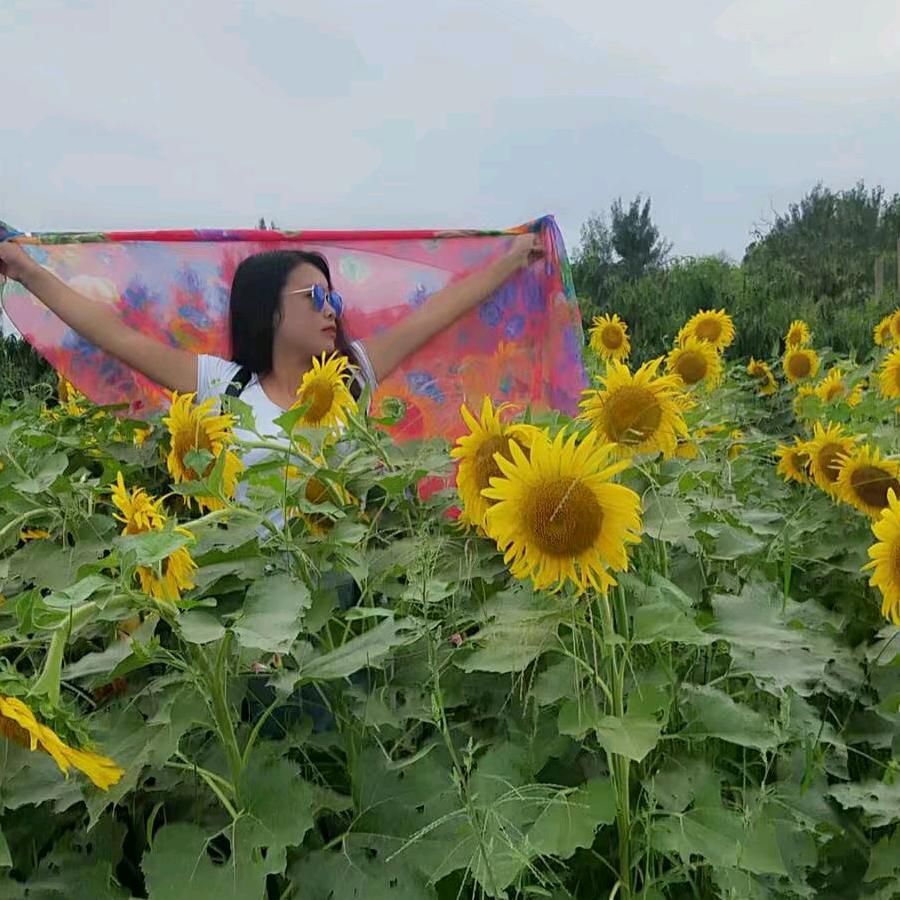 依然美丽的四小姐