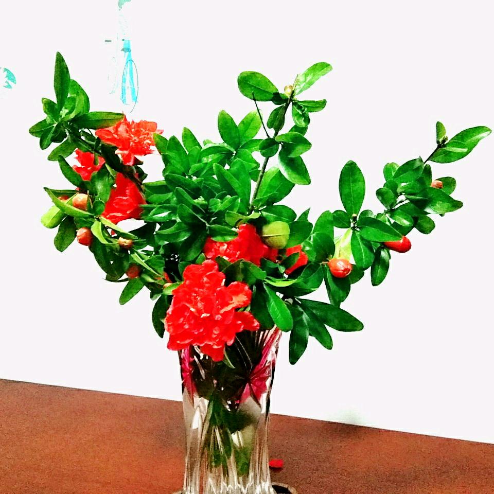 甜蜜蜜