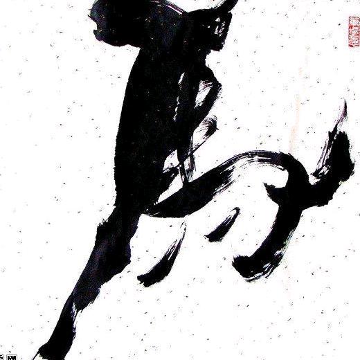 小马哥