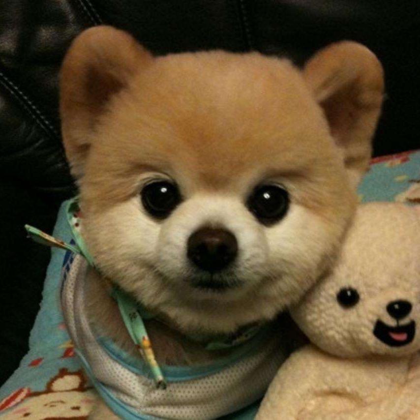 11111