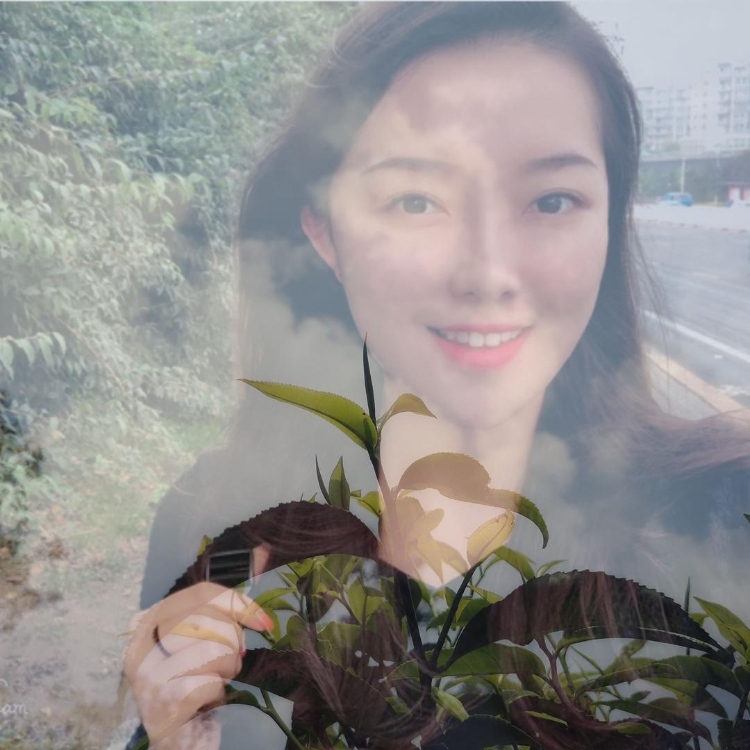 寻茶别味