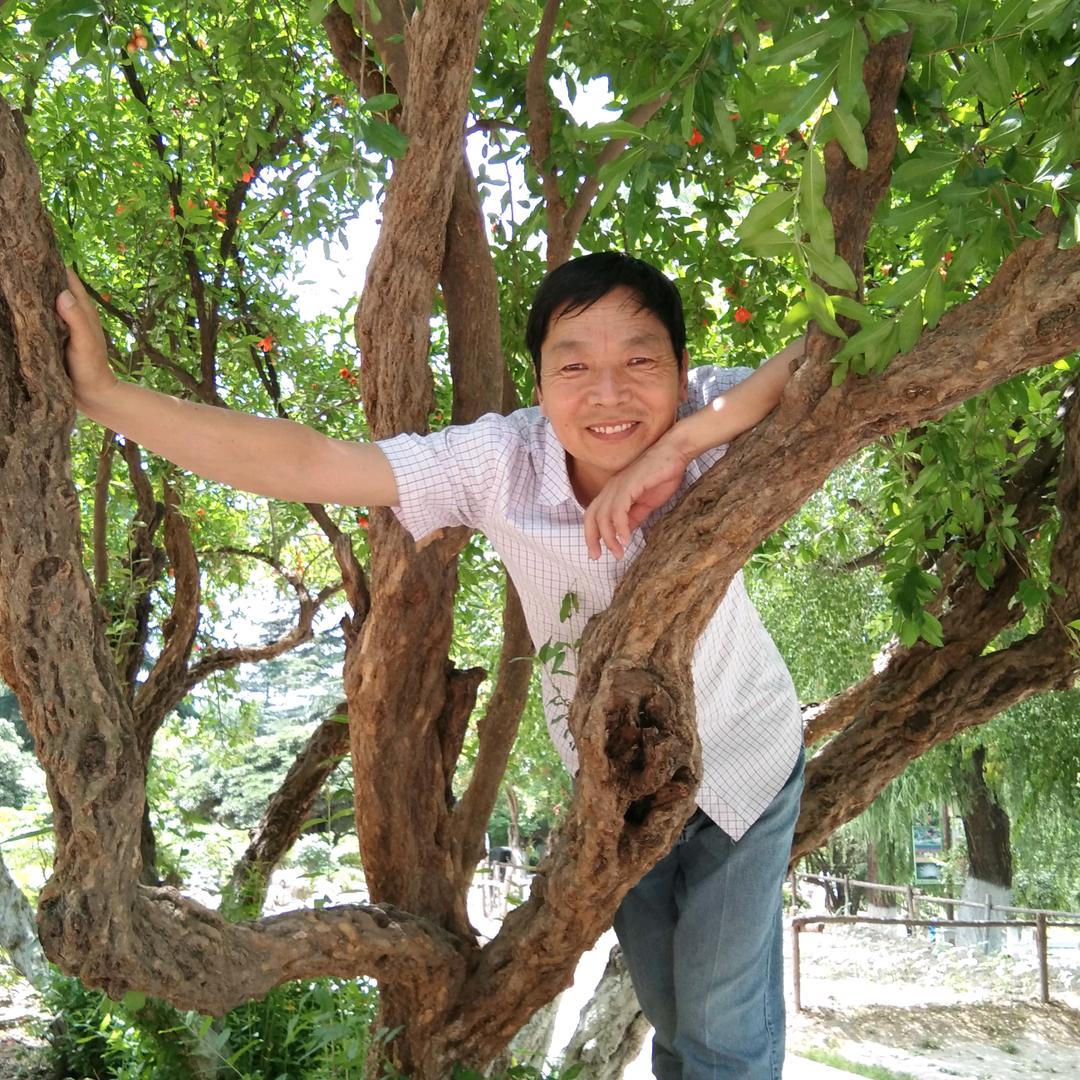 心灵驿站（童心永在）