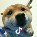 你好