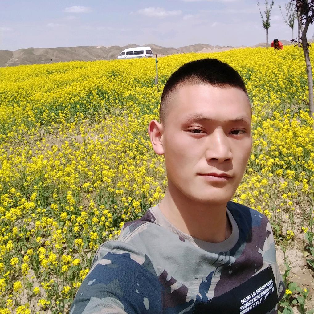 装修田队