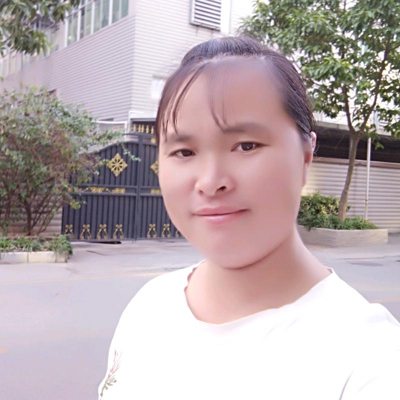 樱花向往