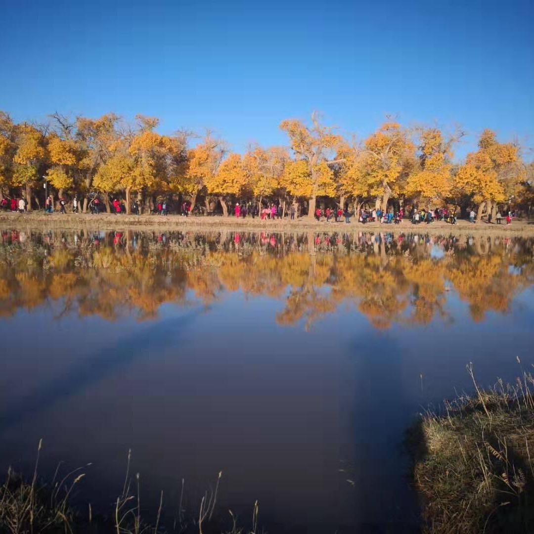 白云一朵,有赞必回