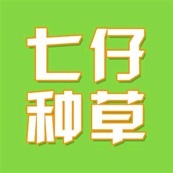 七仔种草
