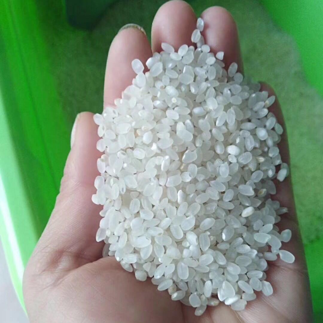 汇农胚芽鲜米机