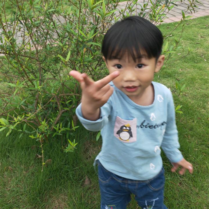 柠檬的泪是酸的