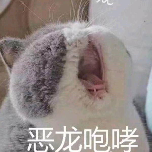 雨女无瓜呀*