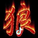 ࿐ཉི༗࿆࿈西北狼࿈༗࿆ཉི࿐