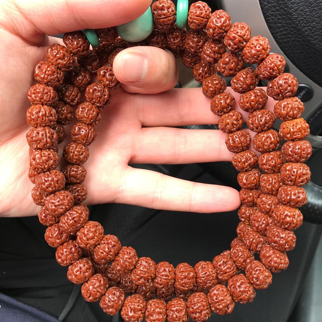 帕尔🇨🇳修斯