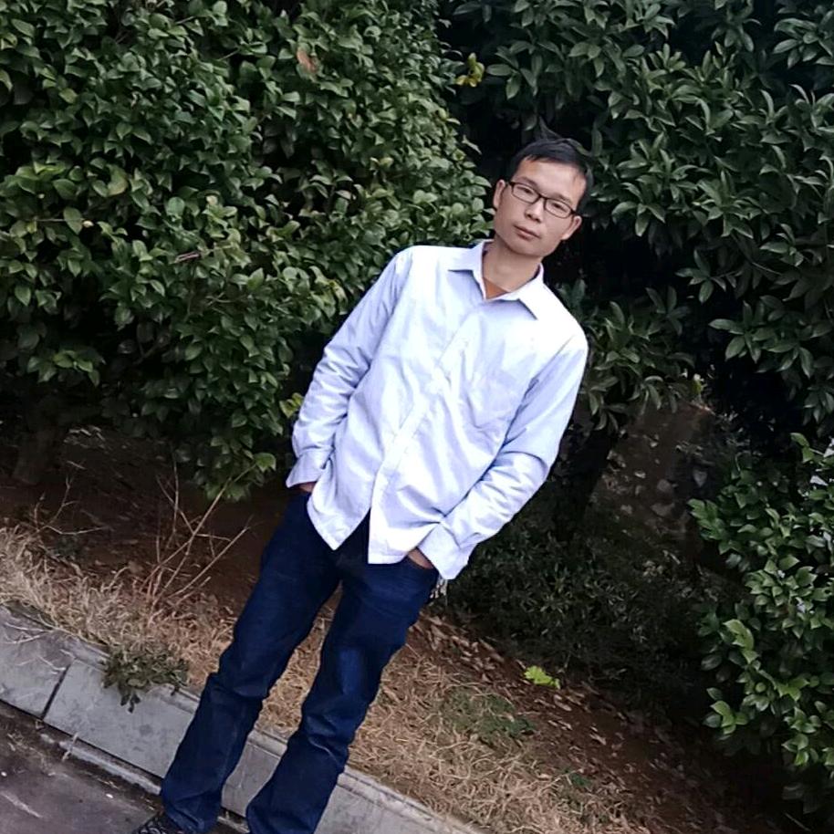 西双版纳凤梨种植（柏福成）