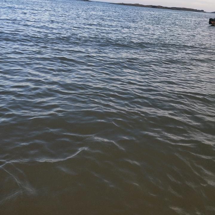 大果时代：益润农资甘姐