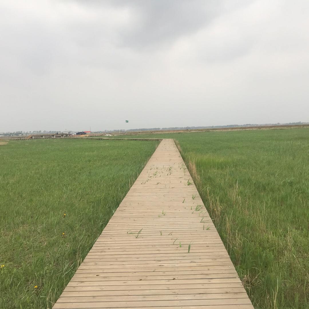 人间到处是广告