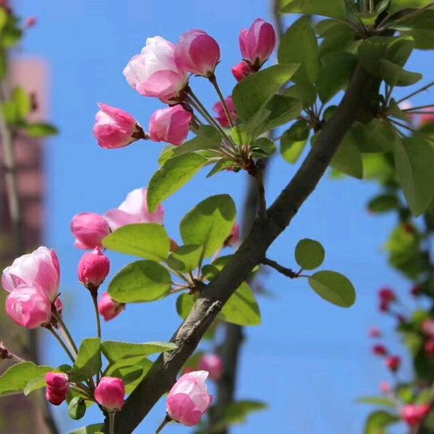 等你的关心等到我关上了心