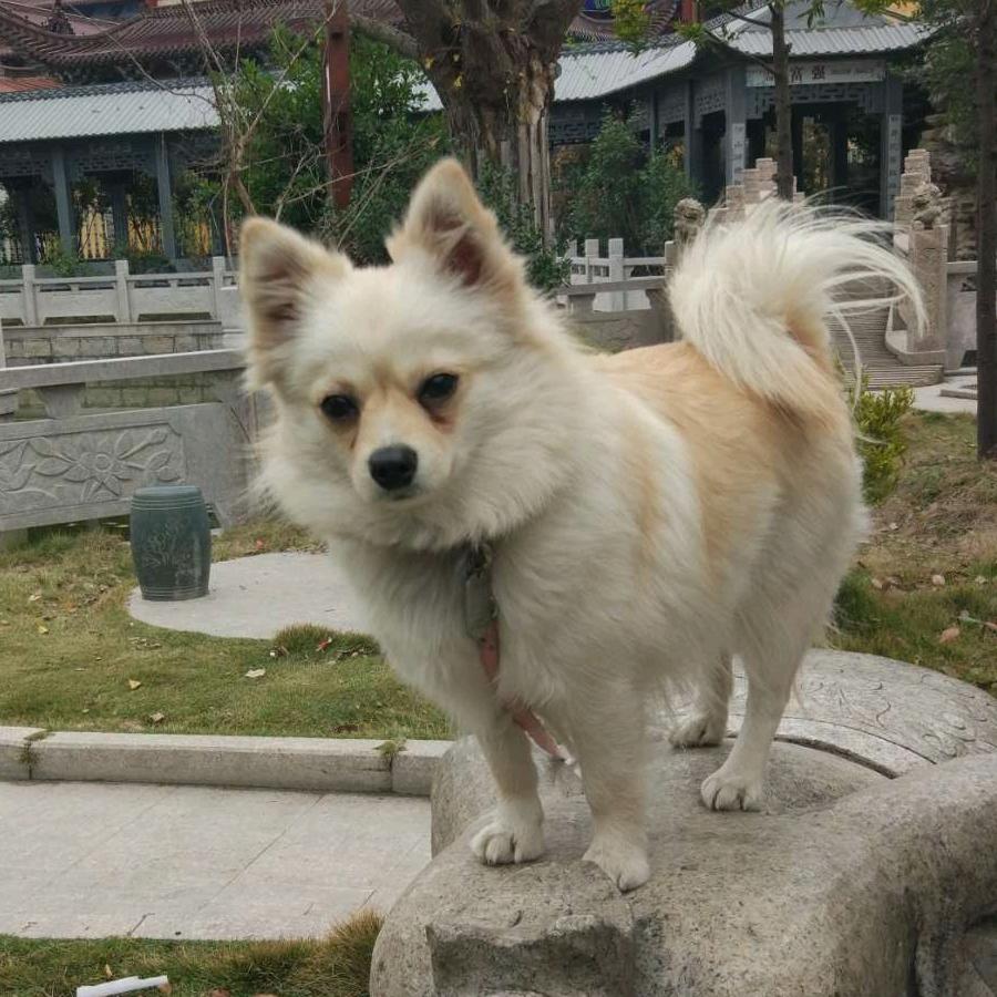 若莫@