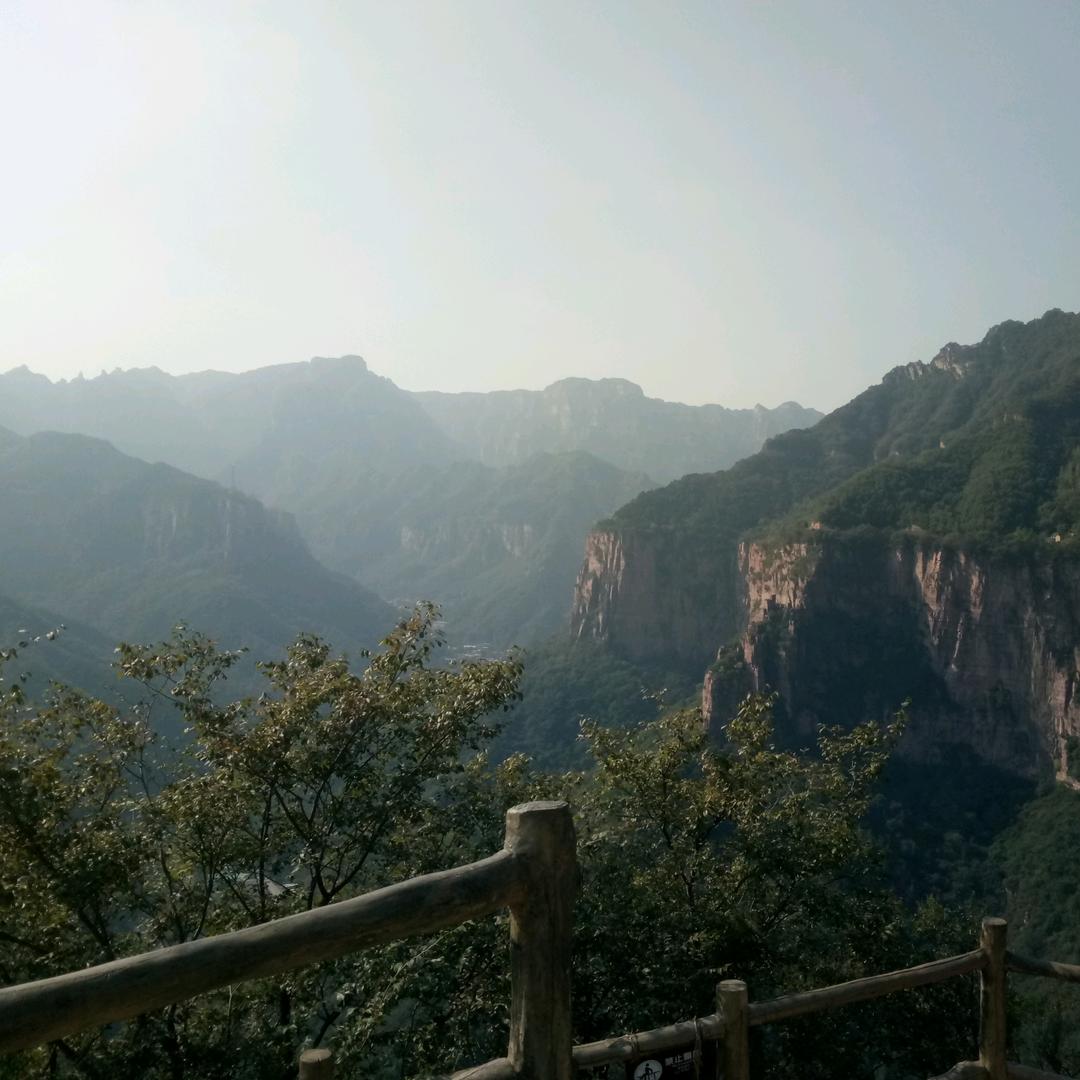想念