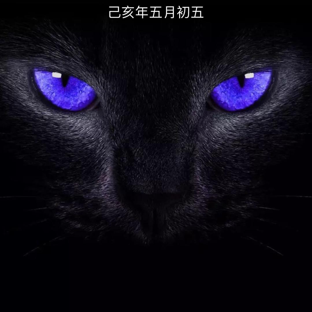 ໑ຼₒ₂₂ღ᭄ꫛ解꧔ꦿ᭄