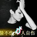 白天不懂夜的黑