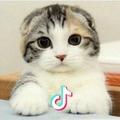 ωin小咚