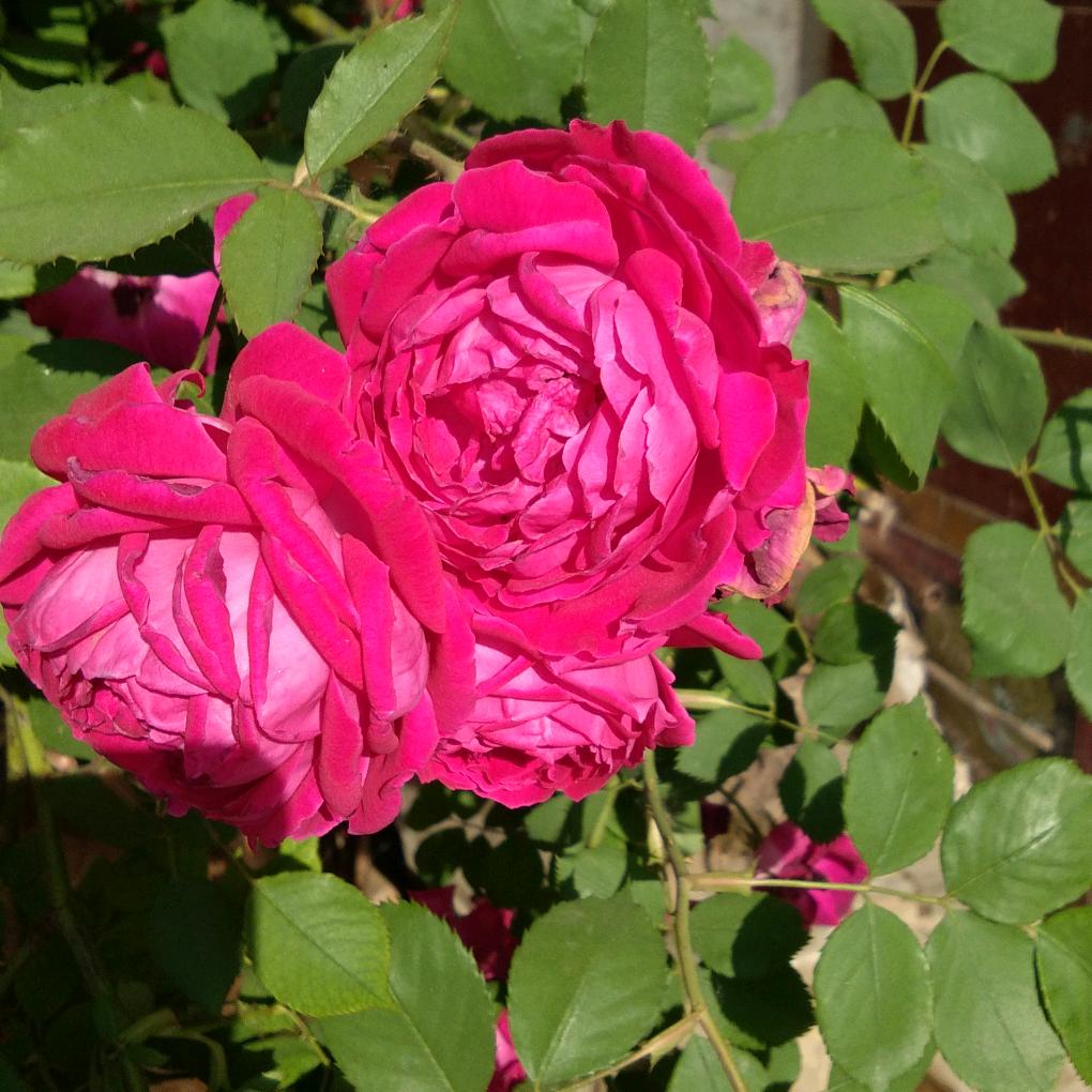 开开心心每一天