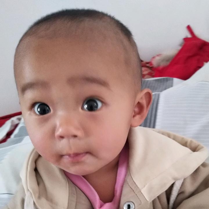 紫薇花