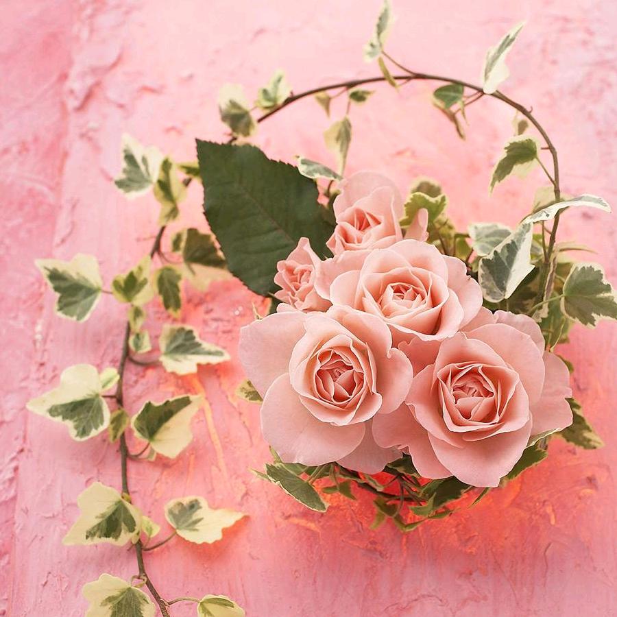 用户4831752305947天天开心