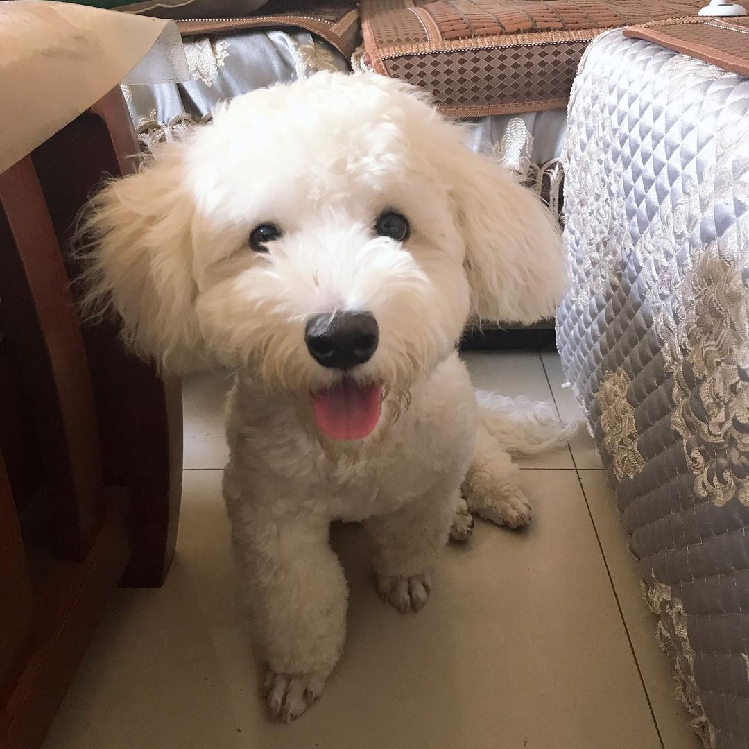 小饭儿