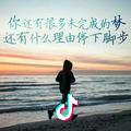 #杨哥