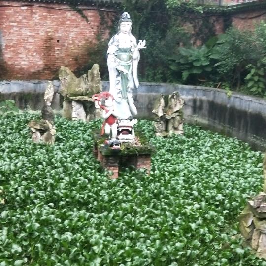 最熟悉的陌生人