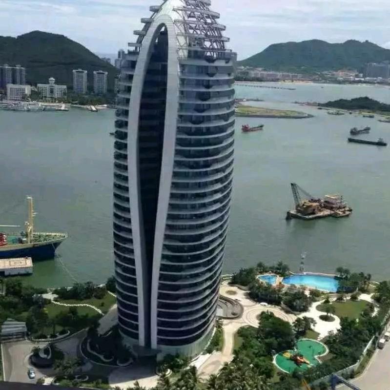 陈大大