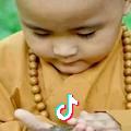 不要迷恋哥