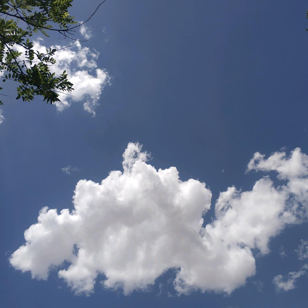 沙漠🍀🌷🌴🌻蓝天