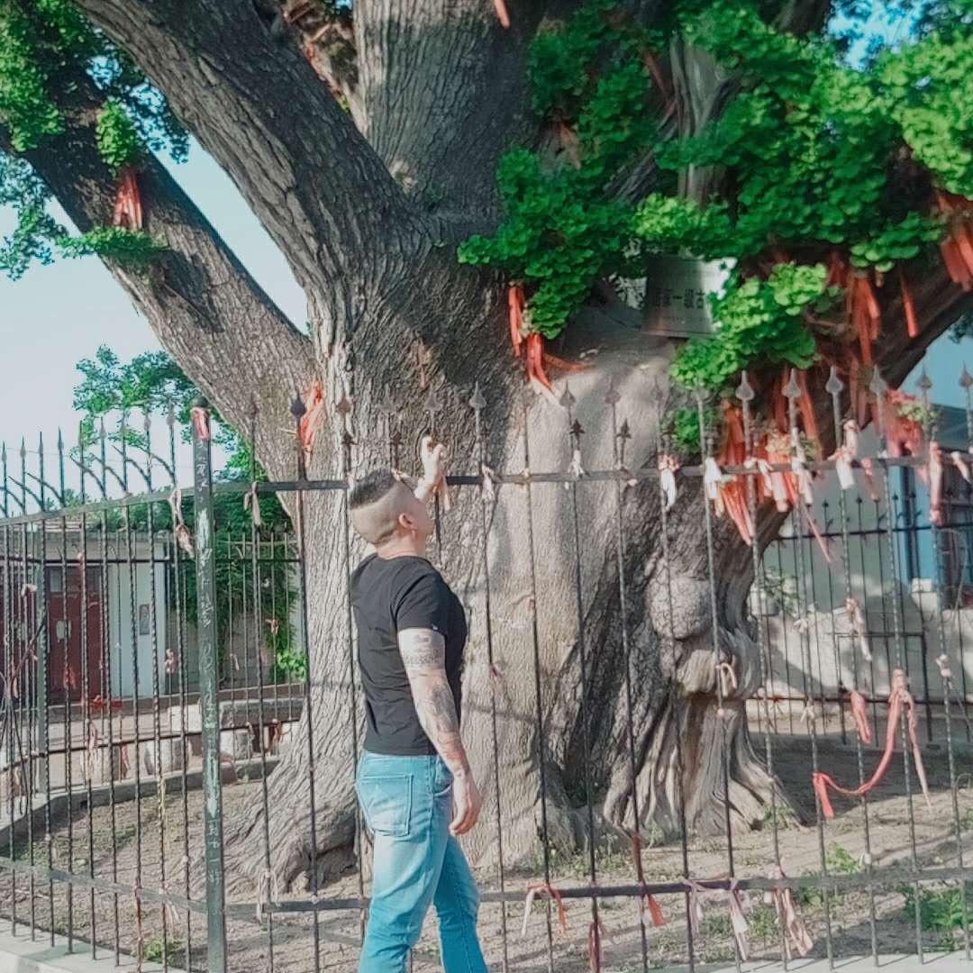 陈红心♥️❤️