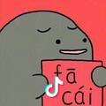 飞