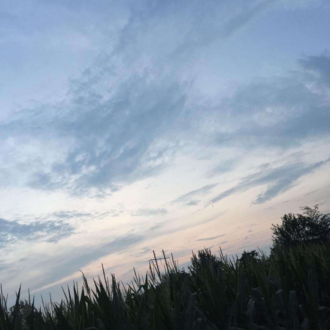 未来的未来82