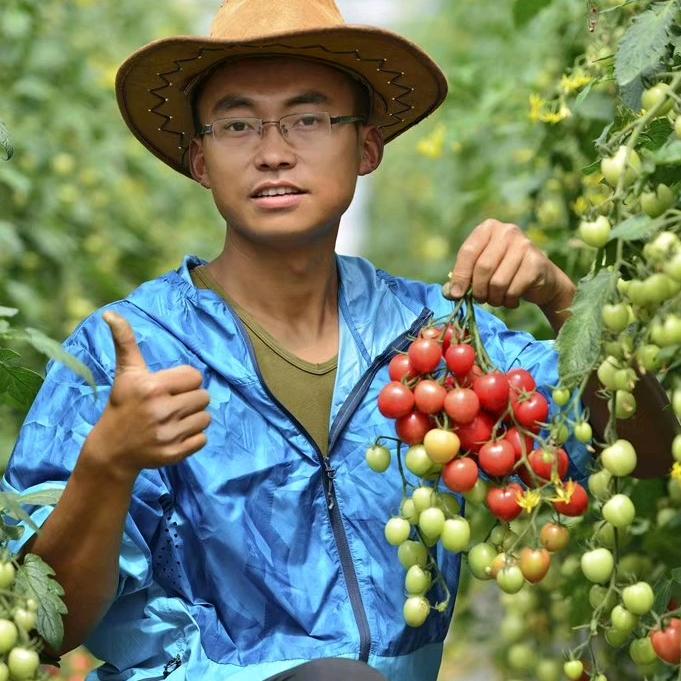 阿贵农场草莓番茄亲子采摘园官方号