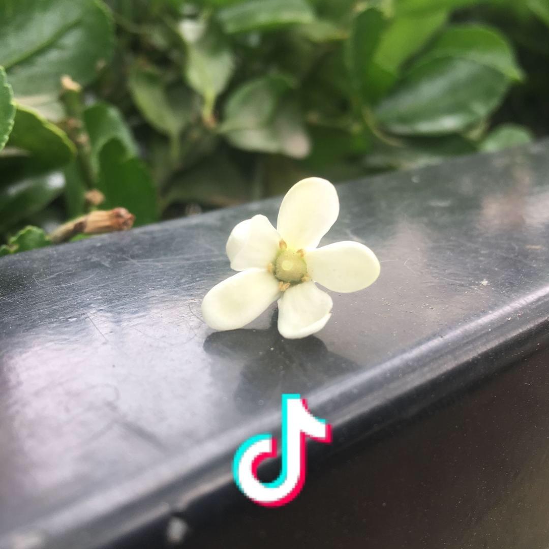 宝贝～