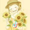 太阳花