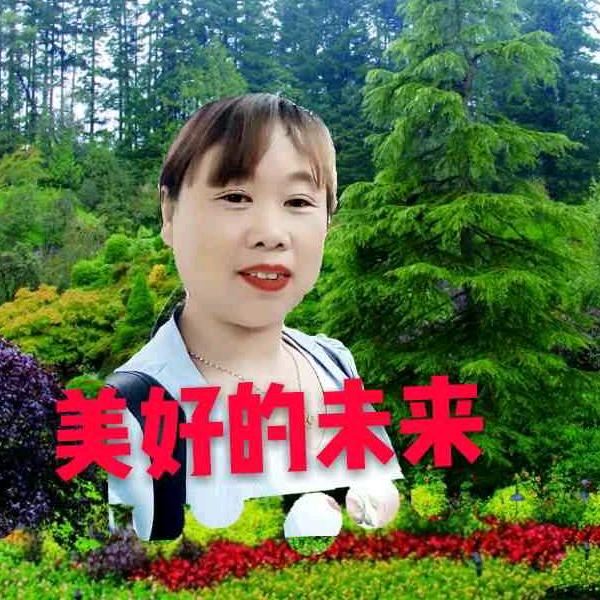芬姐