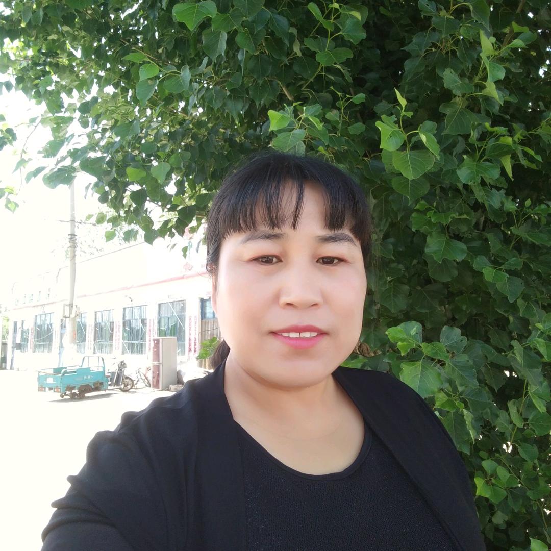 会飞的鸟