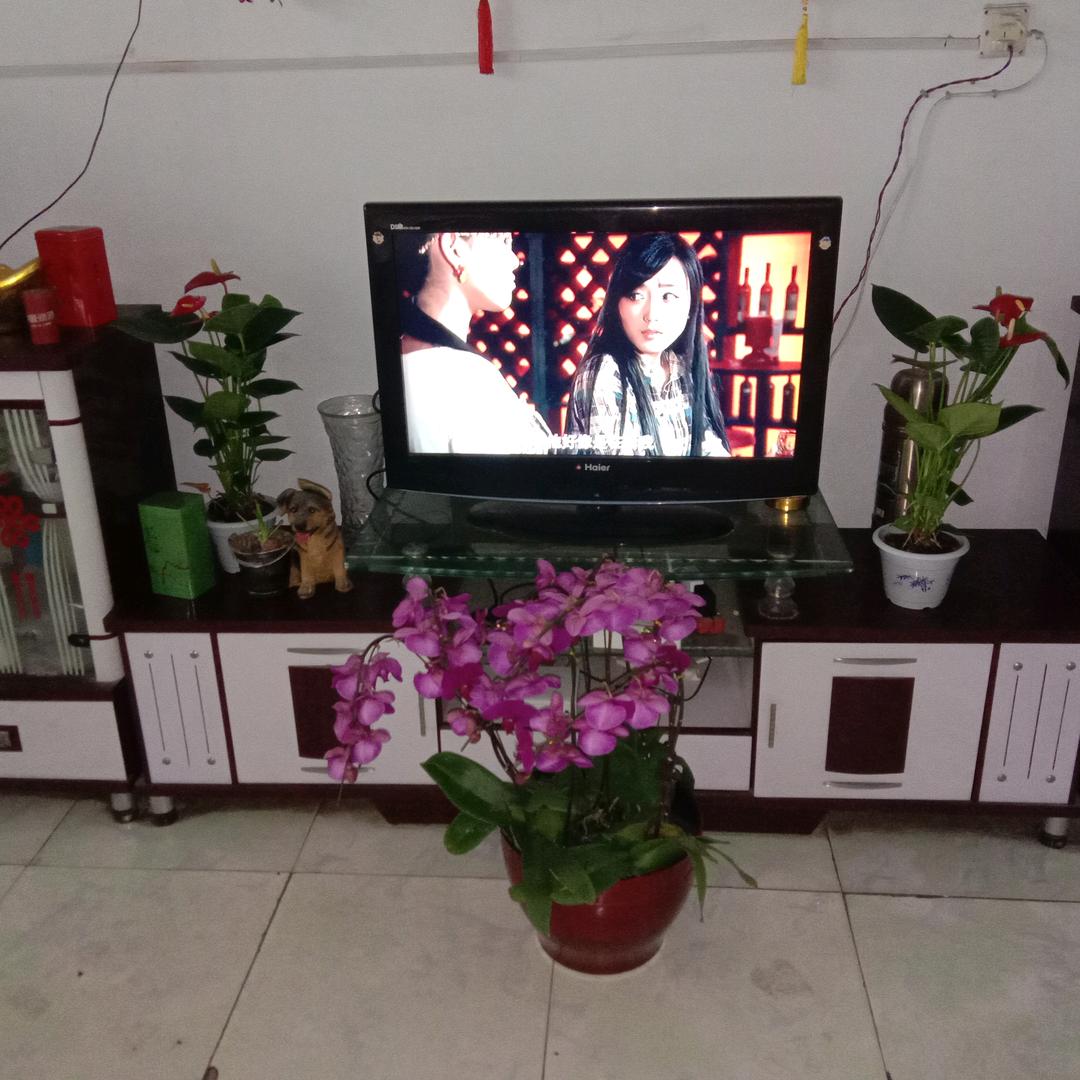 认识就是缘