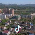 李子飞