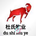 A   杜氏牧业