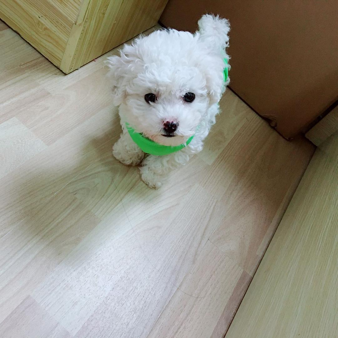 发呆的美好