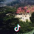 中国武协烟台滨海陈氏太极拳.马丽颖
