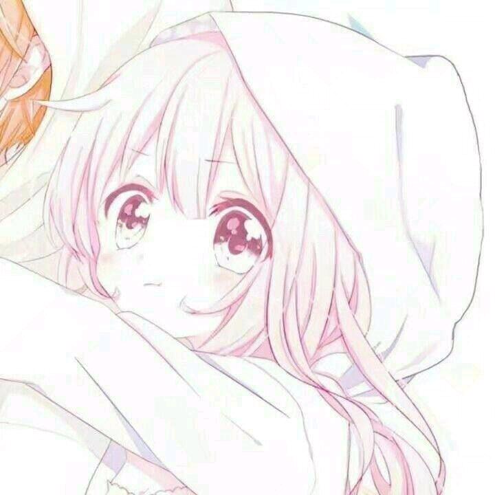 零陈皮