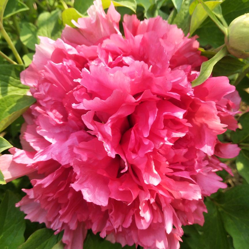 广告安装制作内外墙装修喷砂