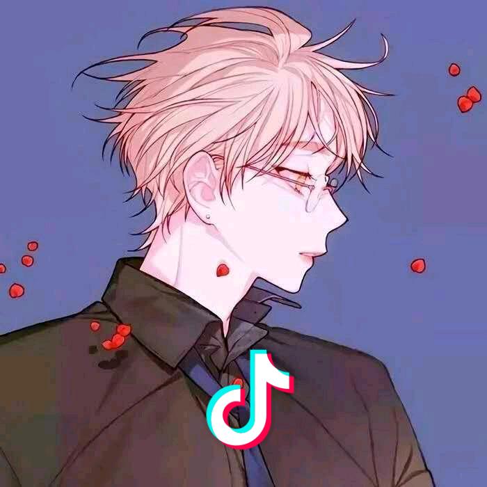 👑 —低空飞行